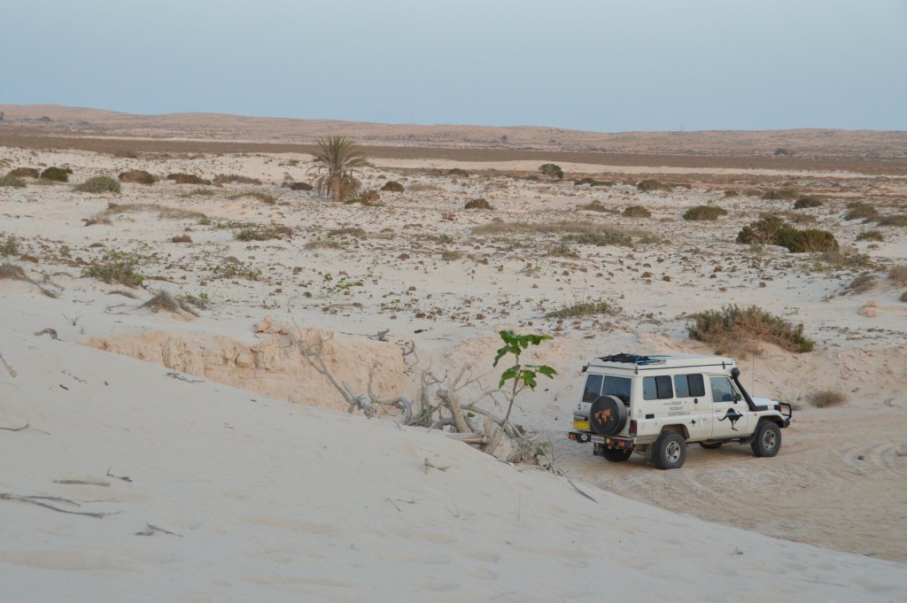 Peaceful Camping in the Dunes