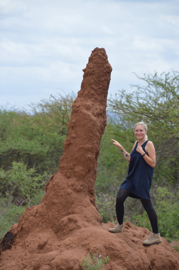 Termite houses in the south of Ethiopia, there were so many!