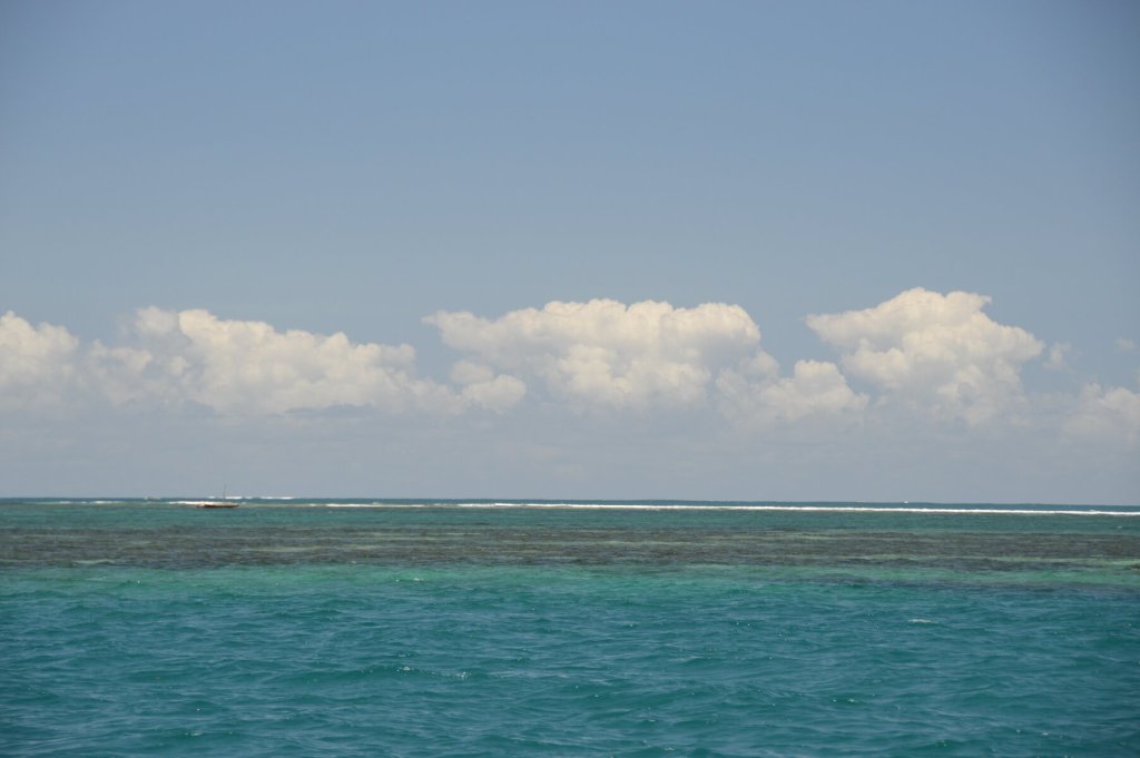 Snorkelling Spot