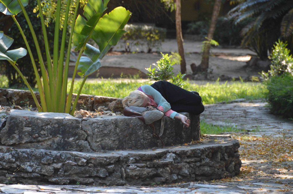 Resting after a hard day's work in the Botanical Gardens in Dar es Salaam