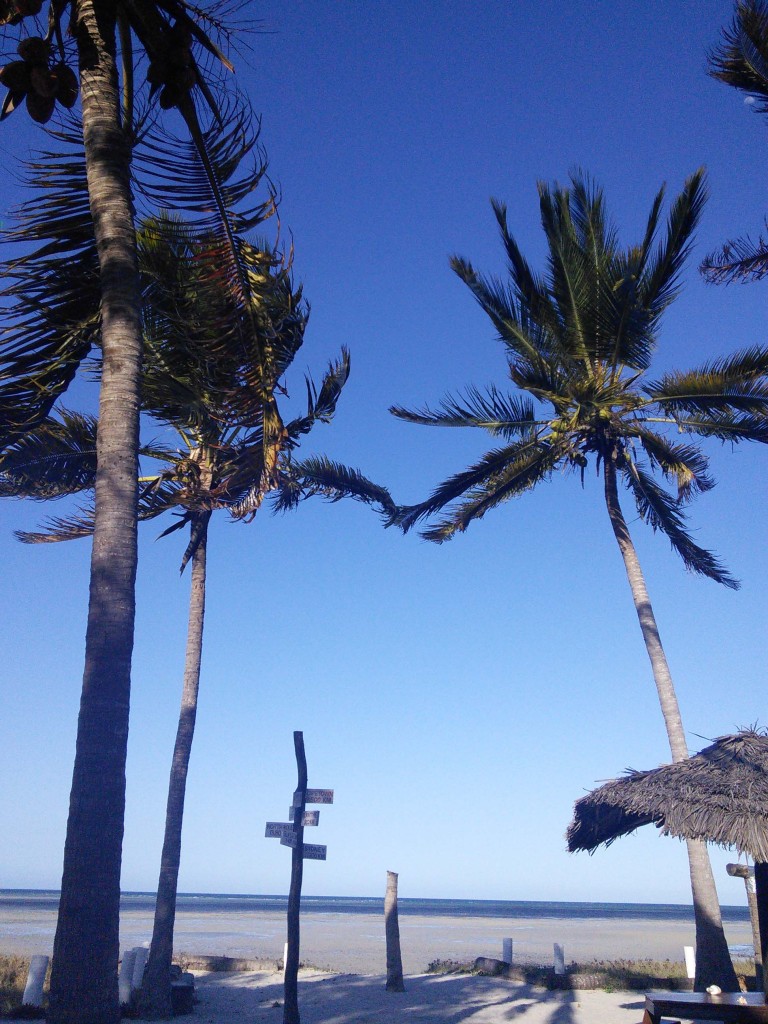 Kilwa Beach Lodge, view from the restaurant/bar