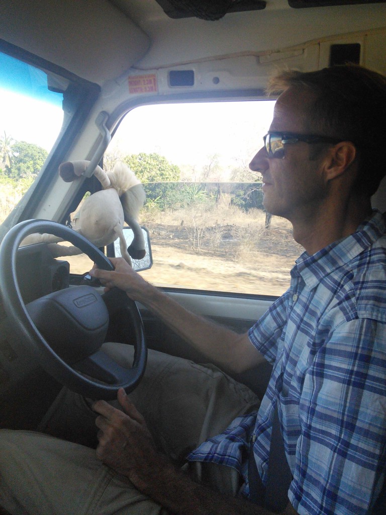 Jonathan driving and our new friend Leo hanging out the window