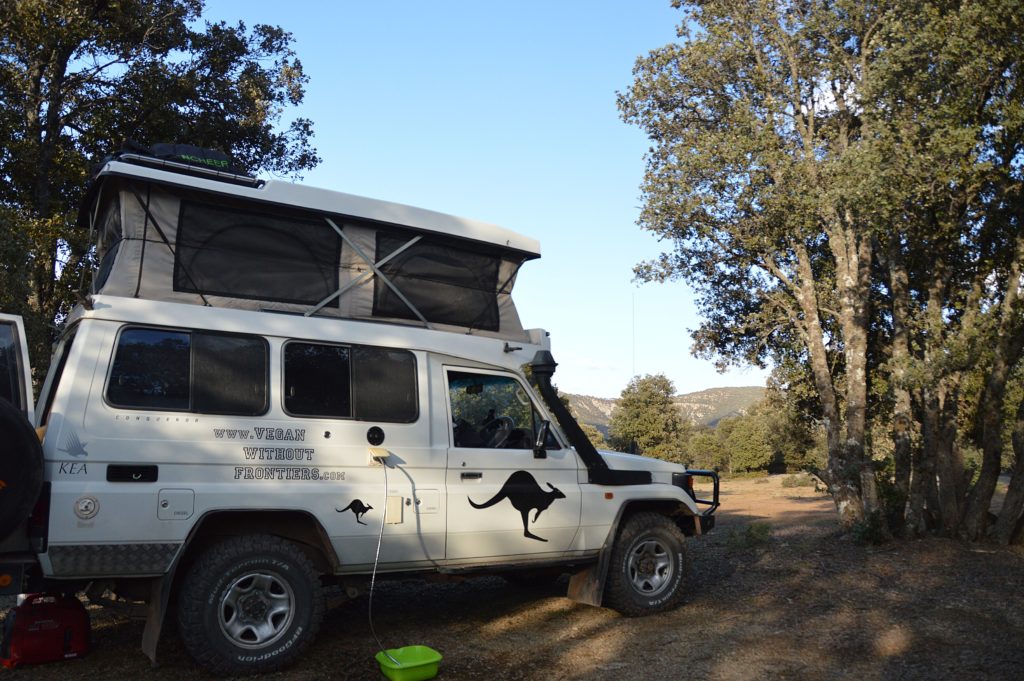 First Wild Camp - 'Bivouac Wood'