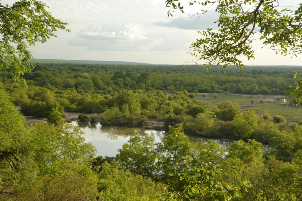 Mole National Park