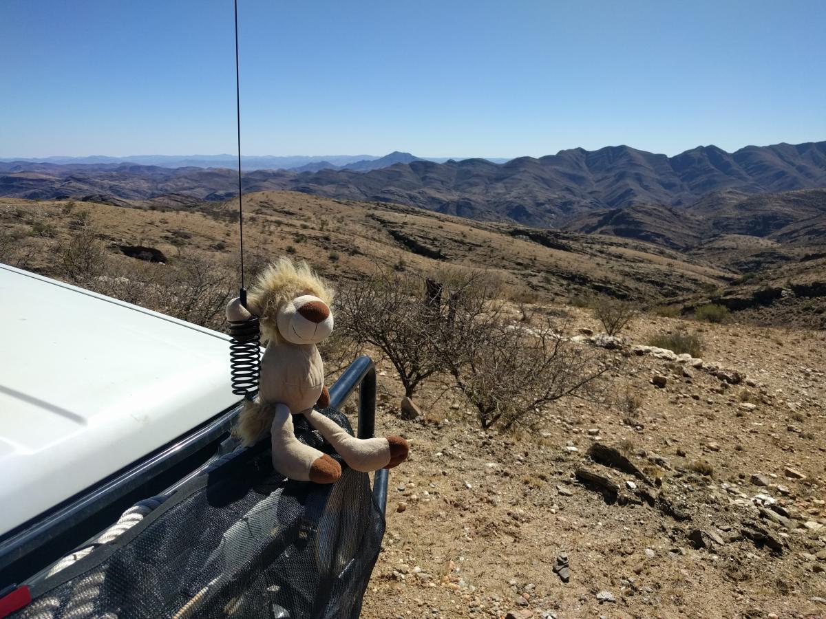 Leo Enjoying the Gamsberg Pass