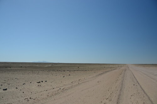 Flat Desert