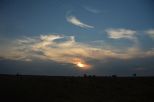 Evening in the Kalahari