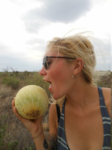 Kalahari Watermelon